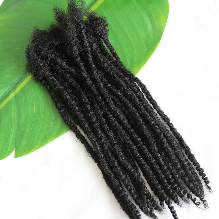 Dreadlocks Curly Extensions