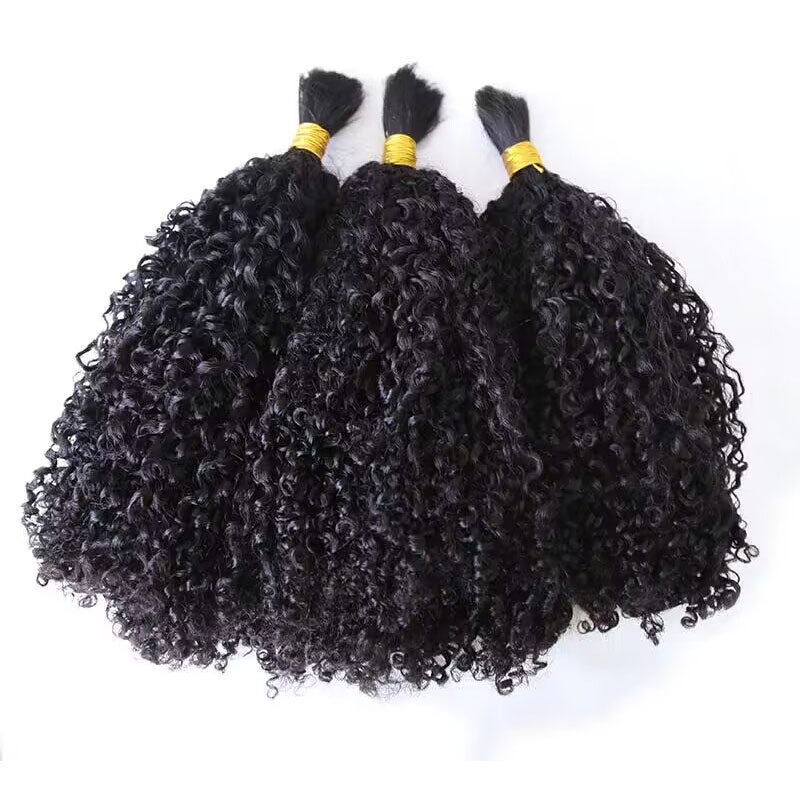 Wholesale-Affordable Bulk Human Braiding Hair
