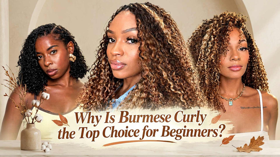 Why Is Burmese Curly the Top Choice for Beginners?
