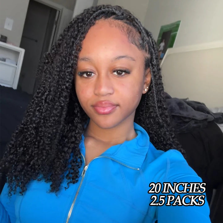 2.5_packs_20_inches_tight_curly_crochet_braids