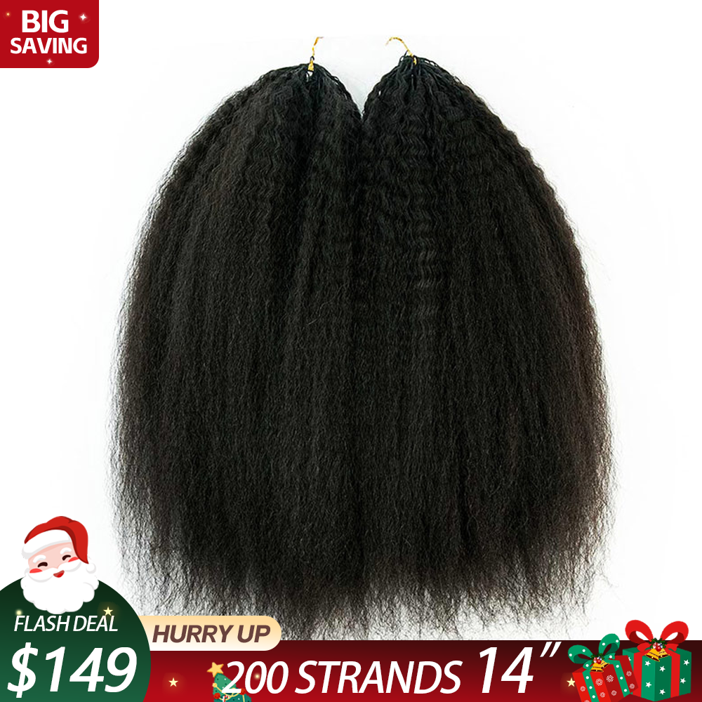 2 packs kinky curly crochet hair