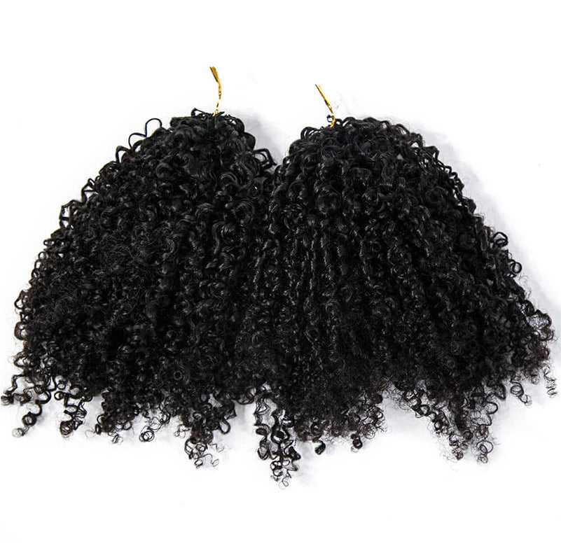 2_packs_tc_crochet_hair