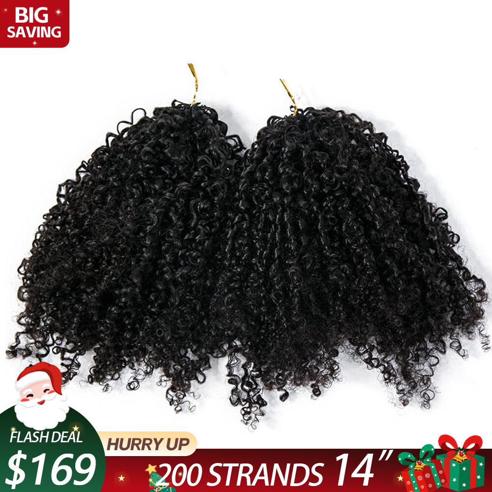 2 packs tight curly crochet hair