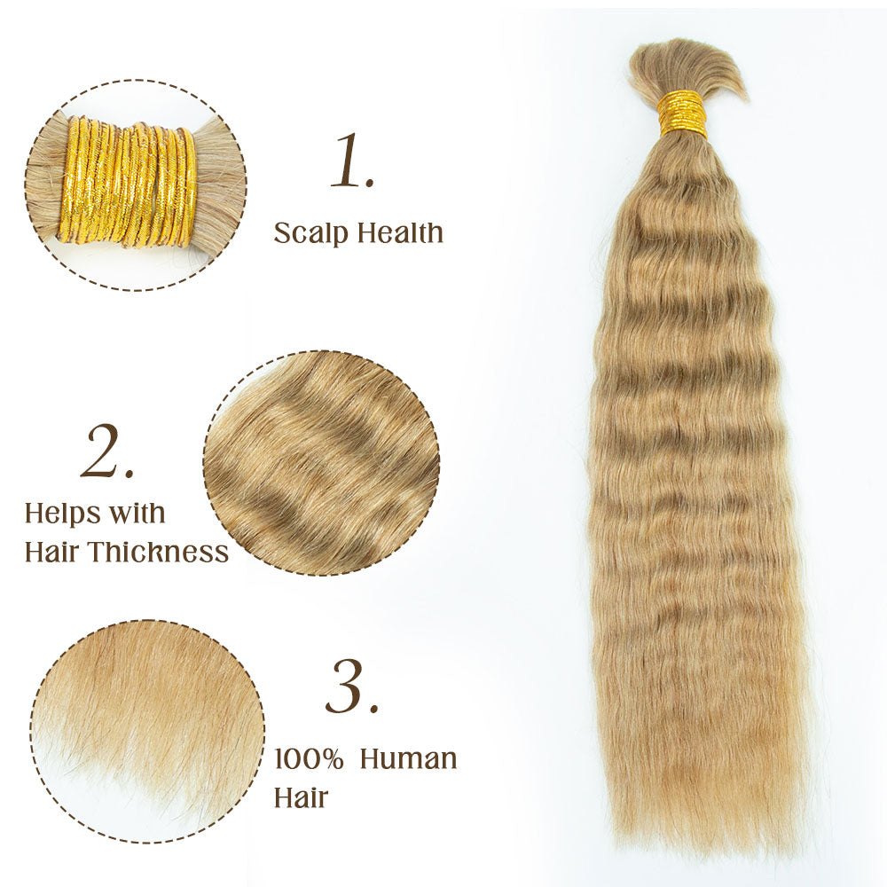 Bulk Human Hair For Braiding #27 Wet and Wavy