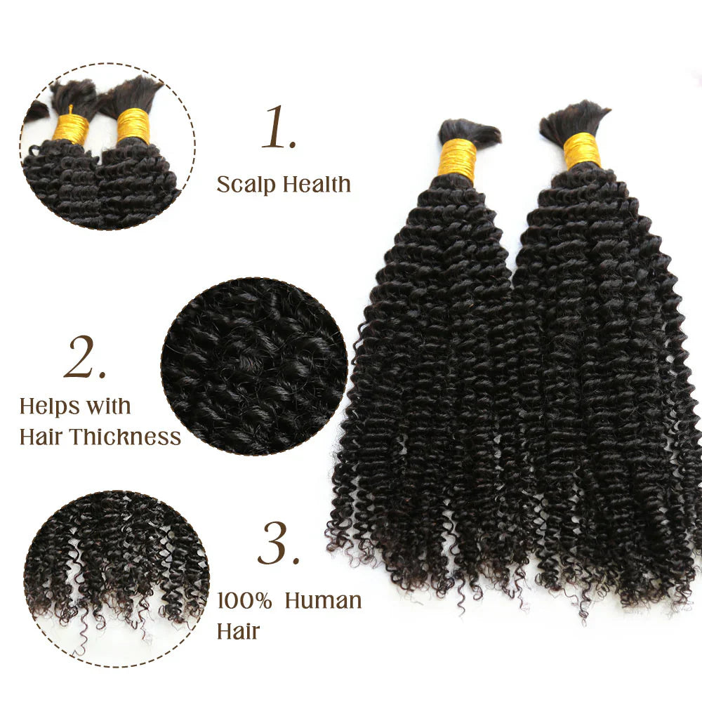 Bulk Human Hair For Braiding Kinky Curly