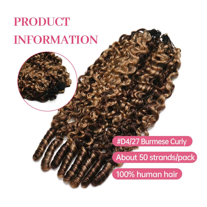 D4_27_burmese_curly_human_crochet_hair