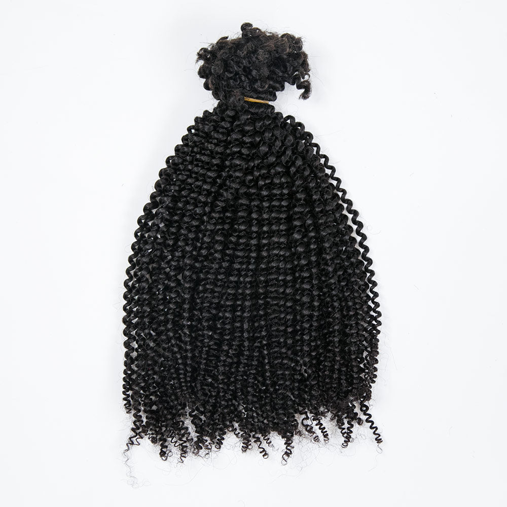 Loc/Twist Hair Extensions Afro Kinky Curly