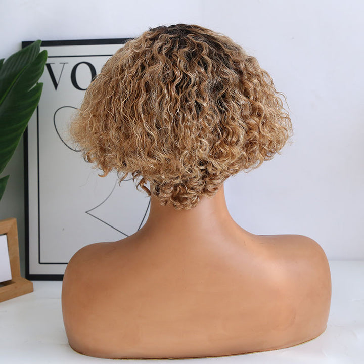 T1B-27 Pixie XX02 13x4 t-part lace wig​
wavy hair
