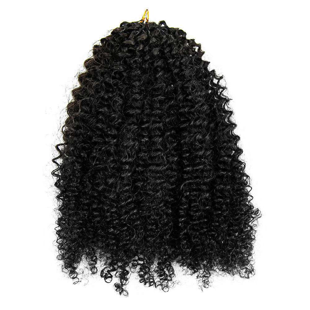 EAYON Lightweight Afro Kinky Curly-Y2 Crochet Human Hair