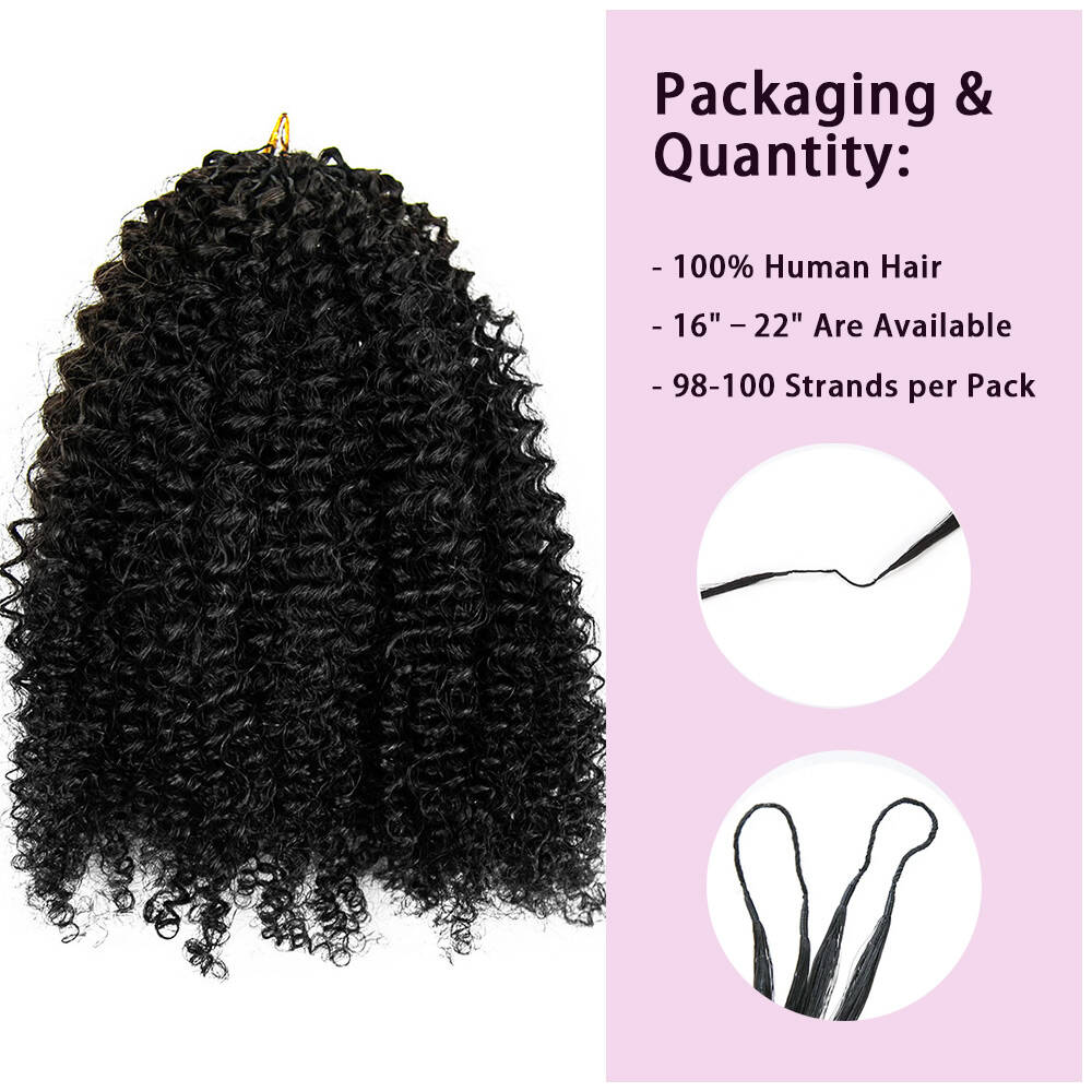 EAYON Lightweight Afro Kinky Curly-Y2 Crochet Human Hair