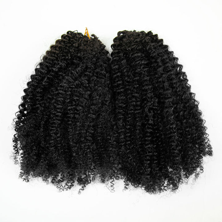 EAYON Lightweight Afro Kinky Curly-Y2 Crochet Human Hair