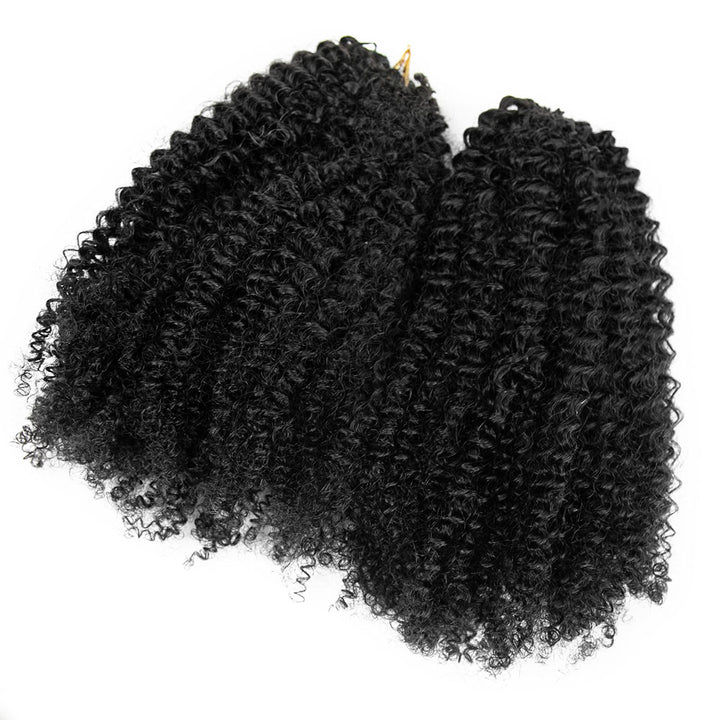 EAYON Lightweight Afro Kinky Curly-Y2 Crochet Human Hair