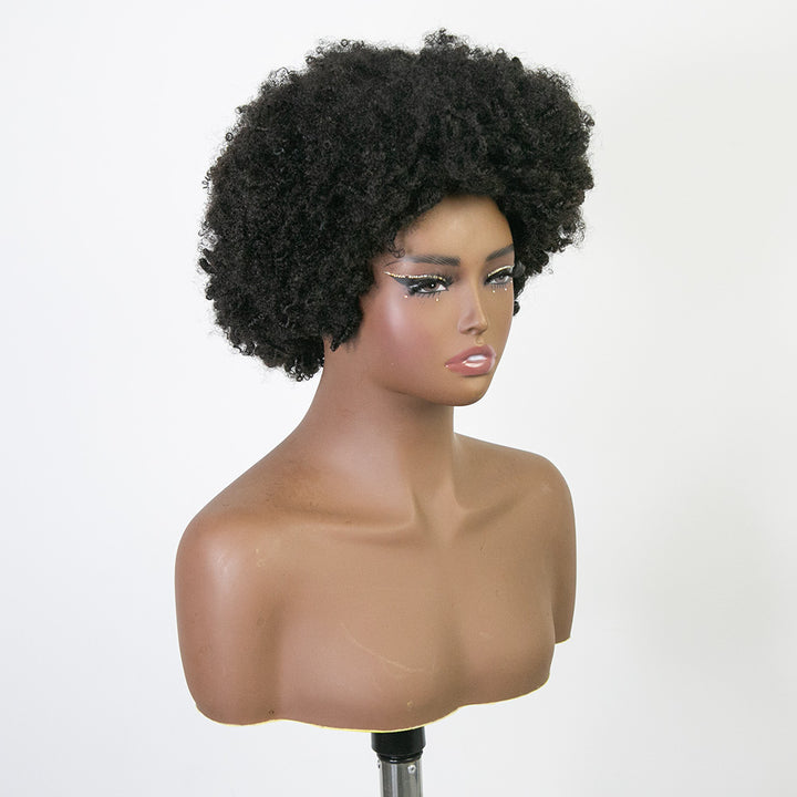 curly_braid_wig_14_BF