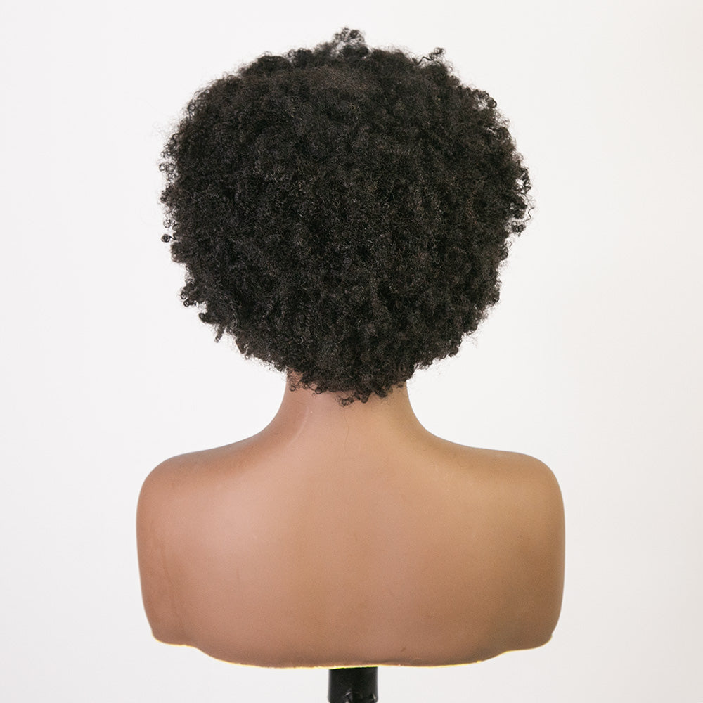 curly_braid_wig_14_BF_1