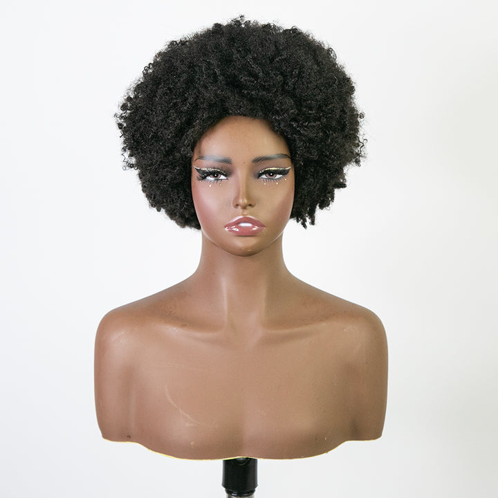 curly_braid_wig_14_BF_2