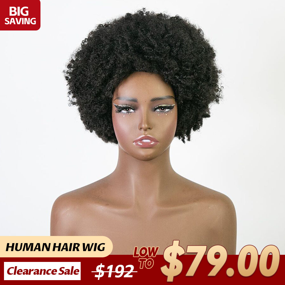 human_curly_braid_wig_14_2026_new_year