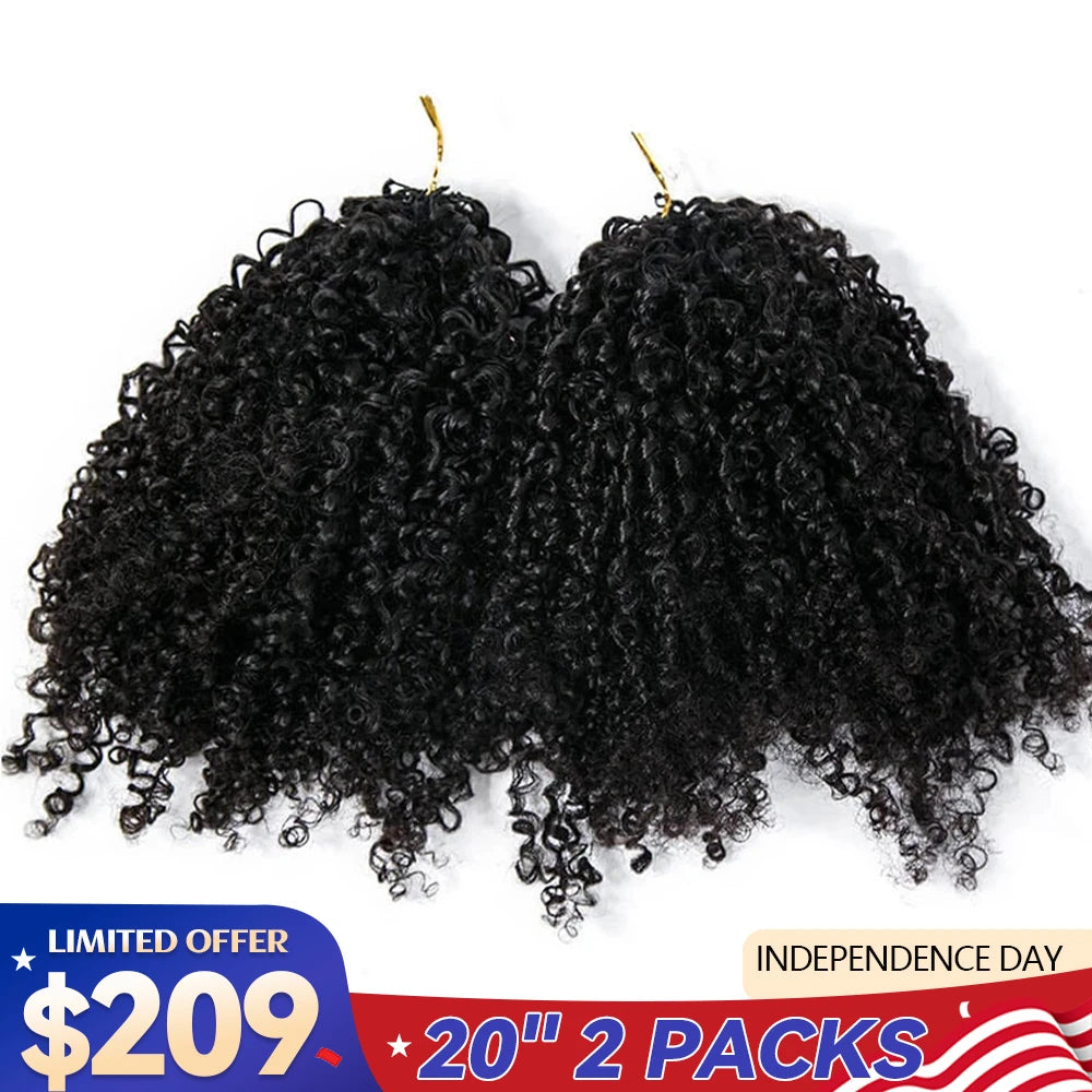 independence_day_limited_offer_209_tight_curly