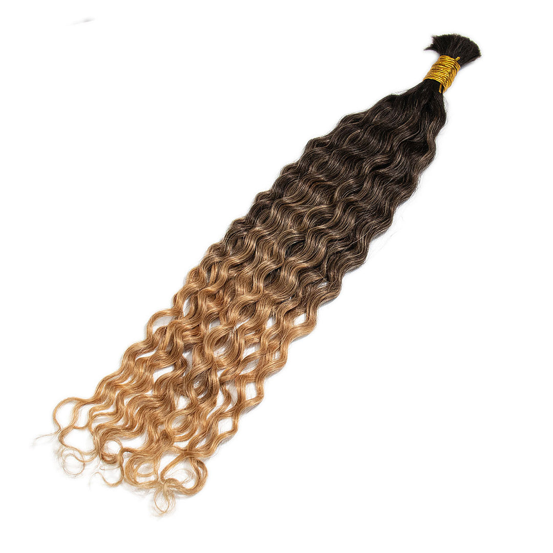 ombre_T1b_30_hair_color_braiding_hair