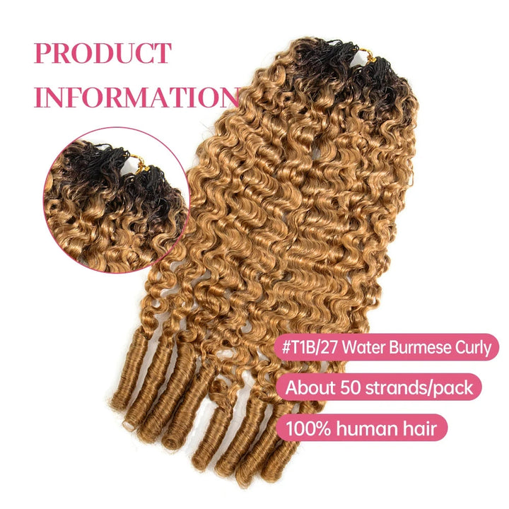 t1b27_color_waterburmesecurly_human_crochet_hair