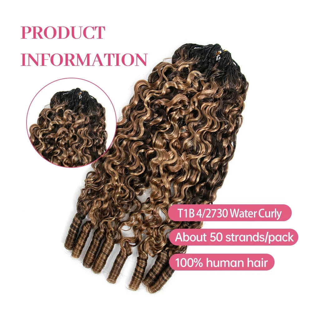 t1b42730_color_watercurly_human_crochet_hair
